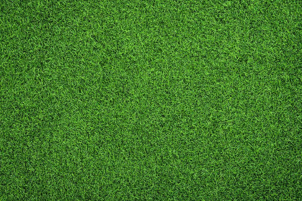 A Close-Up, Top-Down View of Uniform Green Artificial Grass or Turf — Ballina Turf Farm in Iluka, NSW