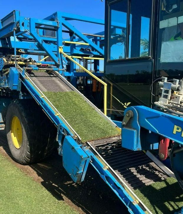 Blue Sod Harvesting Machine with A Conveyor Belt Carrying a Strip of Cut Green Grass — Ballina Turf Farm in Coraki, NSW