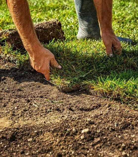 A Pair of Hands Placing a Rectangular Piece of Green Turf — Ballina Turf Farm in Kingscliff, NSW