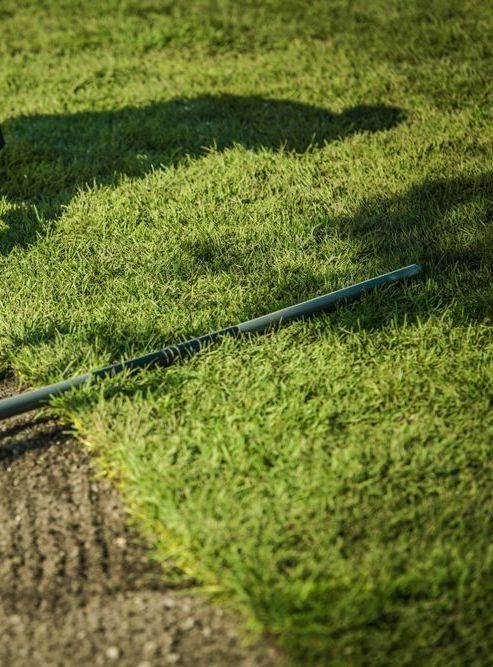 A Golf Club Lies on The Grass Near the Edge of A Sand Bunker — Ballina Turf Farm in Grafton, NSW