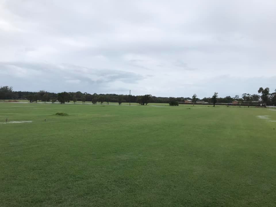 A Large Lush Green Field With Trees in the Background on a Cloudy Day — Ballina Turf Farm in Brunswick Heads, NSW