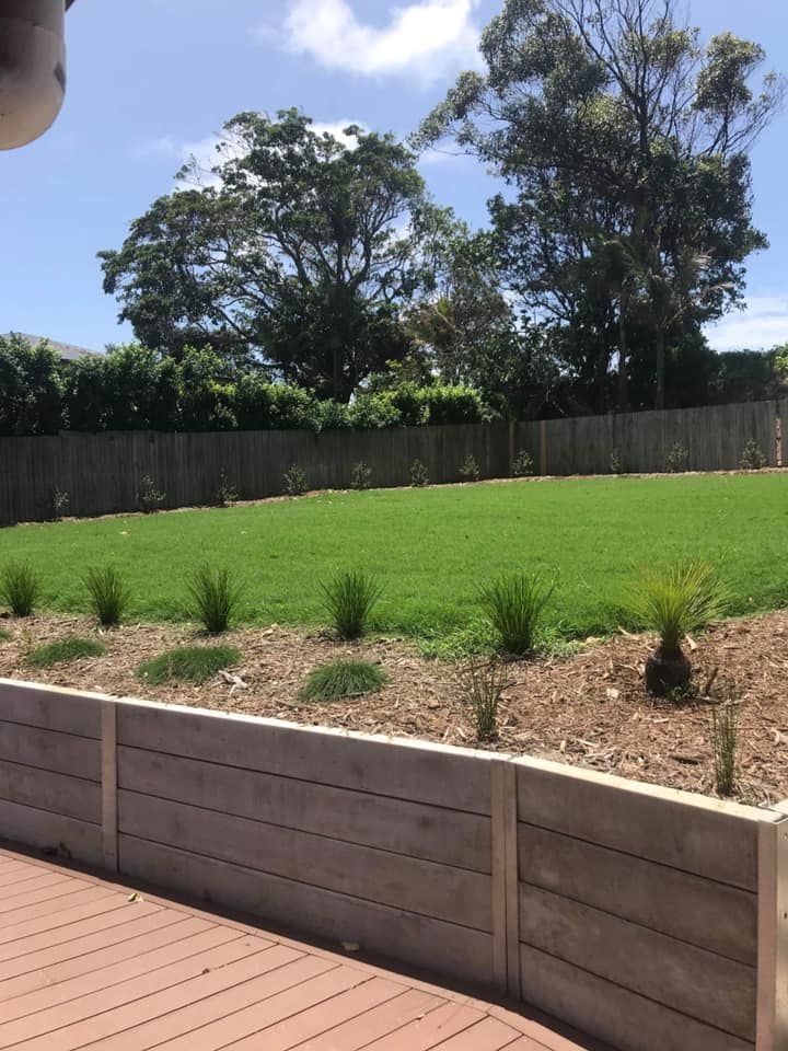 A Large Lawn With Trees in the Background and a Wooden Deck in the Foreground — Ballina Turf Farm in Mullumbimby, NSW