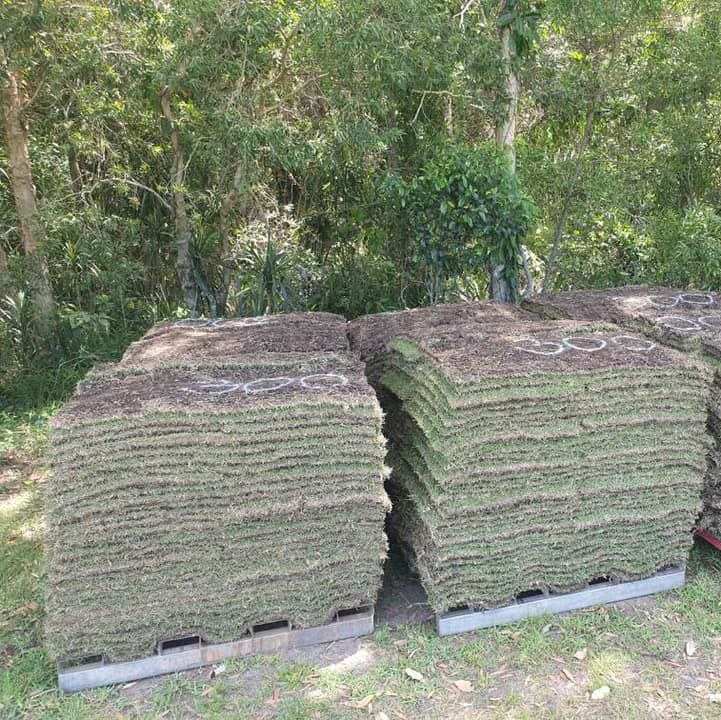 A Stack of Rolls of Turf Sitting on Top of a Wooden Pallet — Ballina Turf Farm in Ocean Shores, NSW