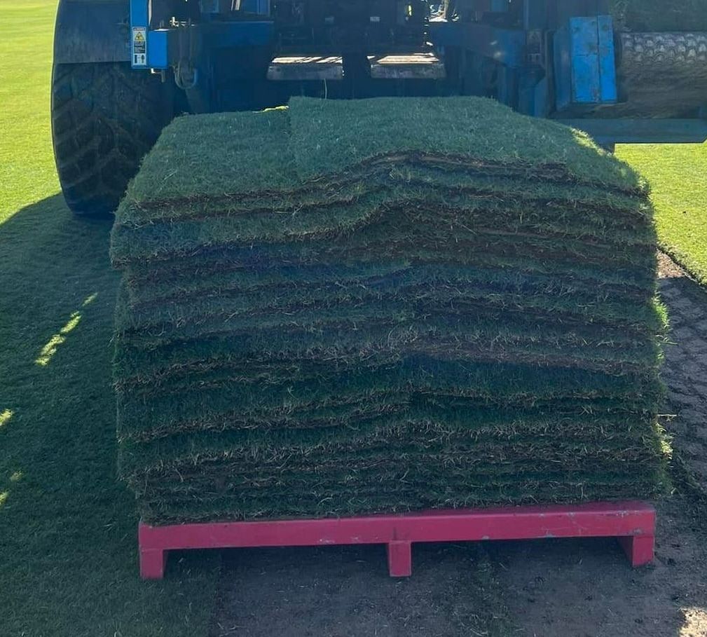 A Tractor is Carrying a Large Stack of Turf on a Pink Pallet — Ballina Turf Farm in Ocean Shores, NSW