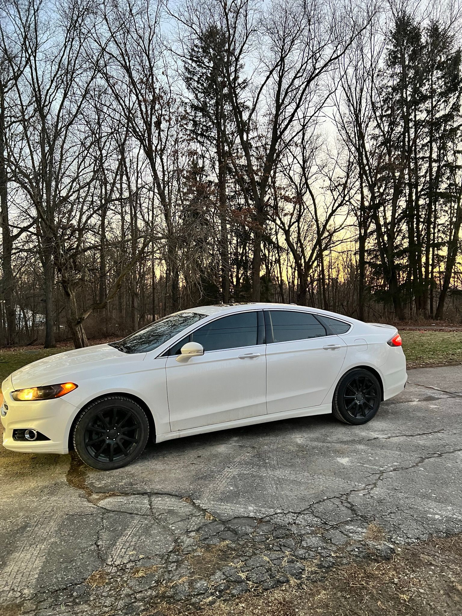 A white car is parked in a parking lot in front of a forest.