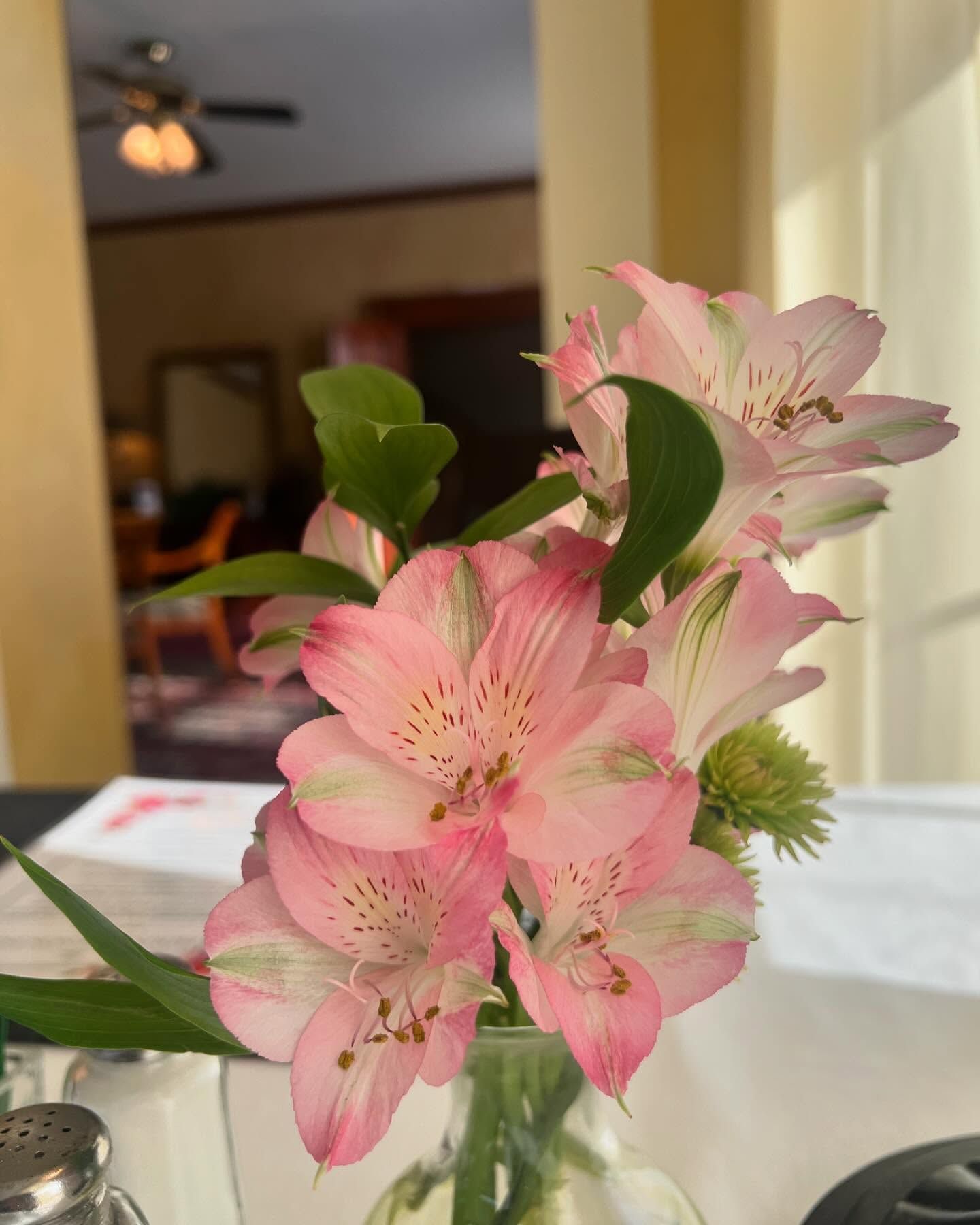 Pink and white alstroemeria flowers in a glass vase on a table, soft focus background.