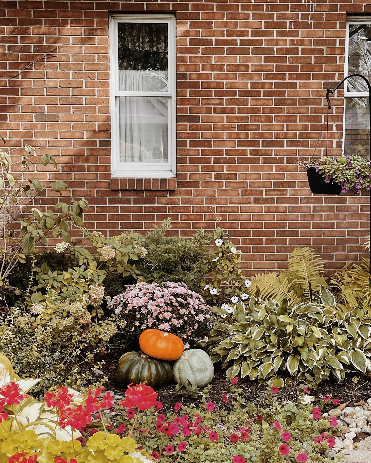 Brick wall with window, autumn garden, and pumpkins.