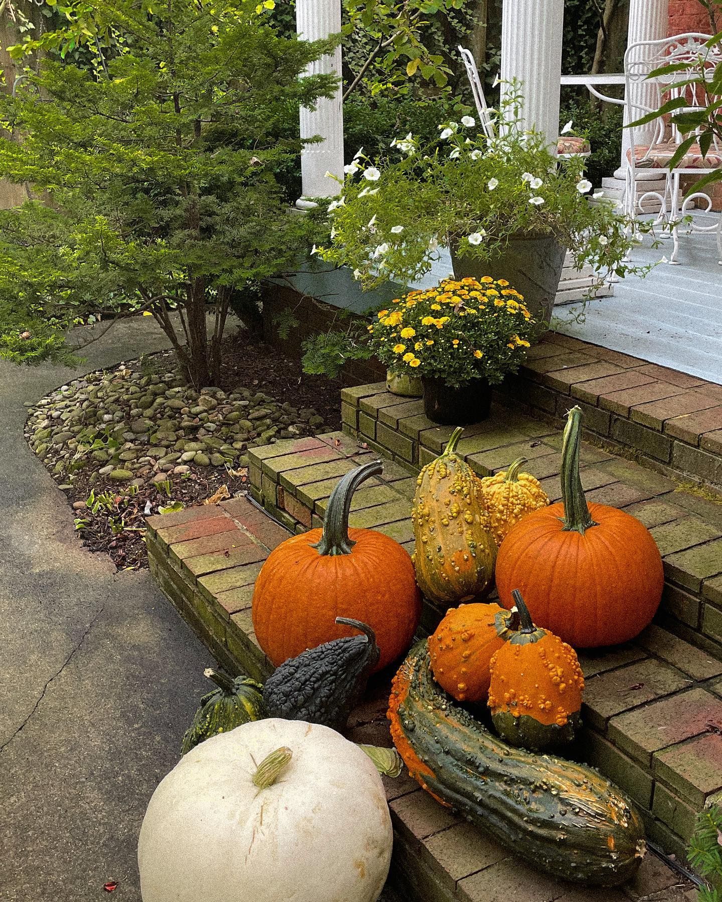 Pumpkins and gourds on brick steps with potted flowers and greenery.