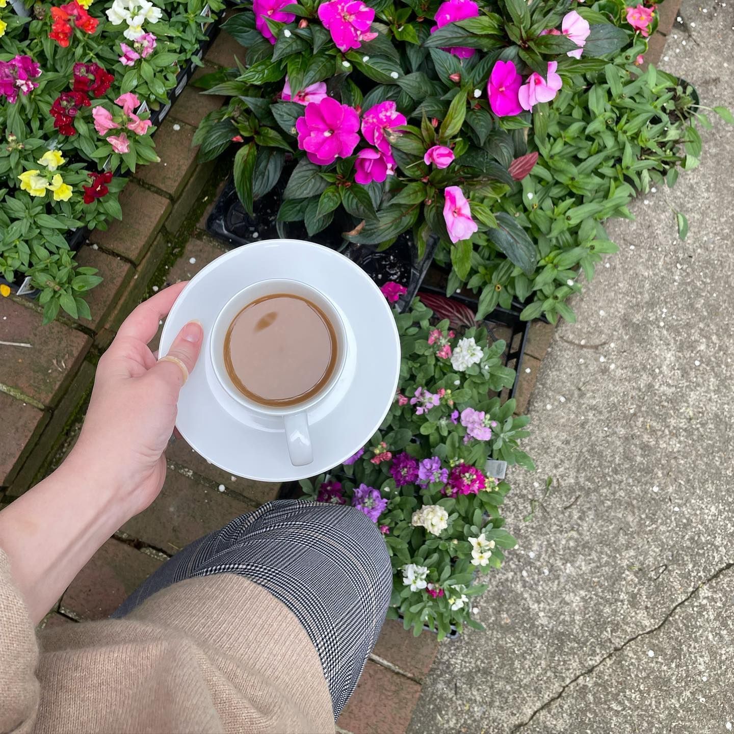 Person holding a cup of coffee near vibrant flowers, in an outdoor setting.