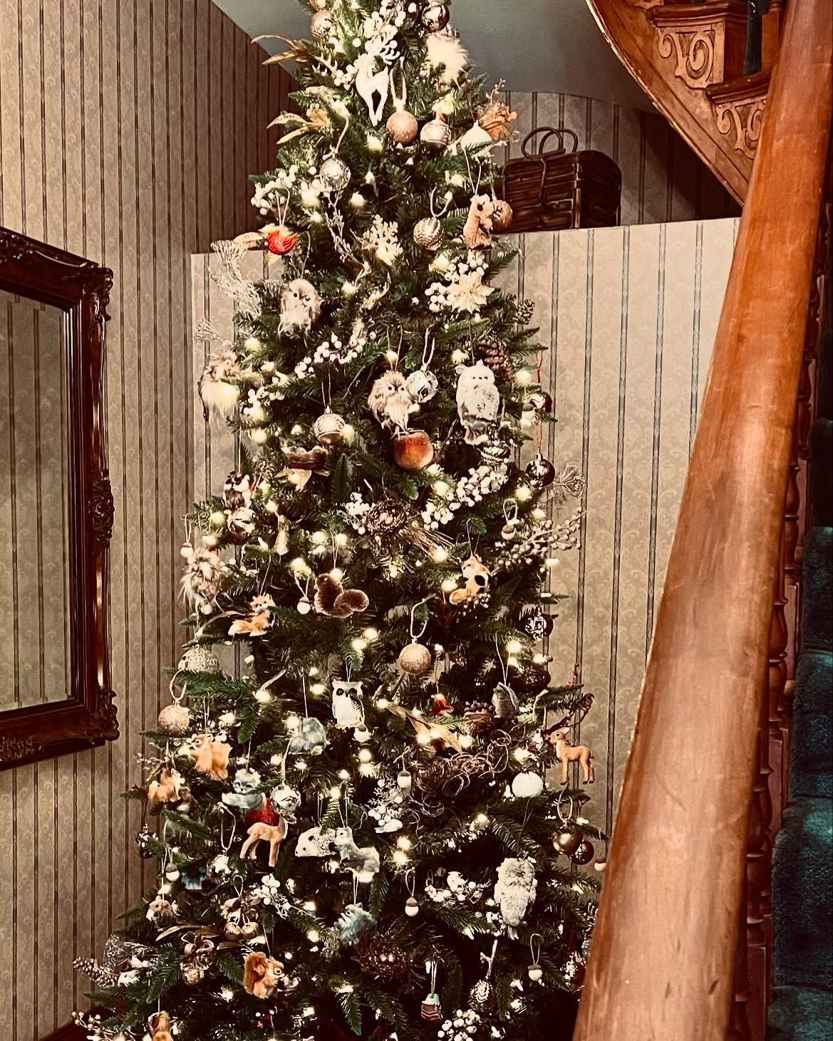 Christmas tree decorated with ornaments and lights in a stairwell.