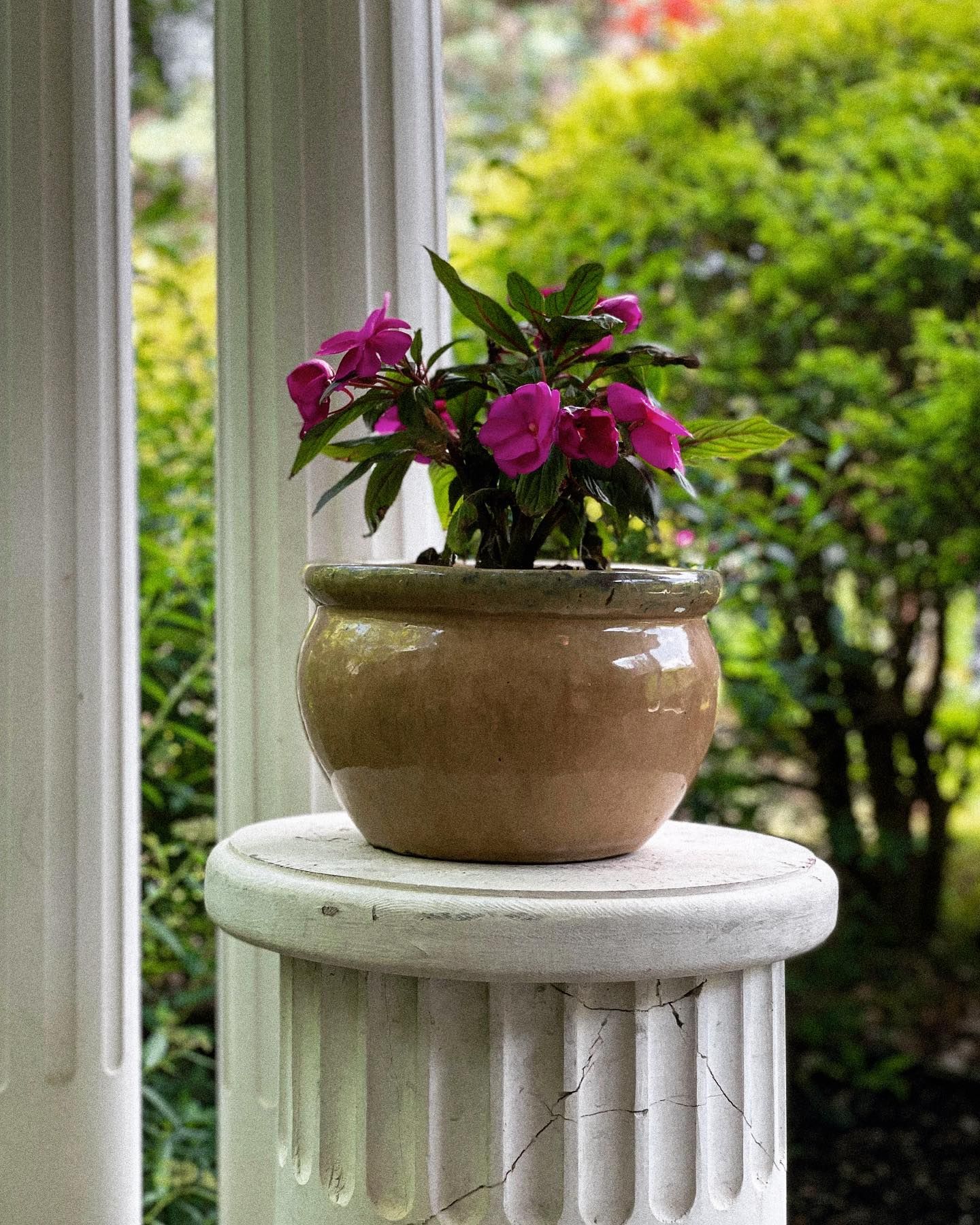 A potted plant with pink flowers sits on a white, stone column; green foliage in the background.