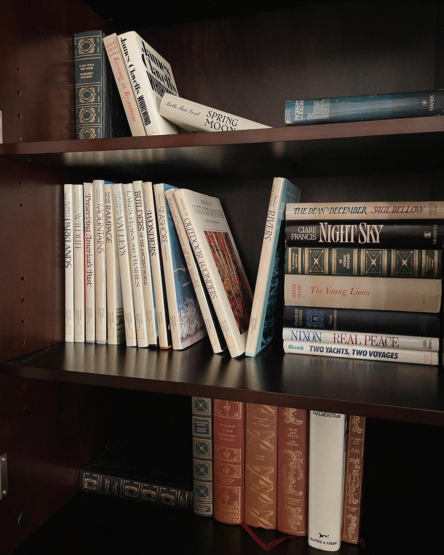 Bookshelves with various books in blue, white, and gold, arranged on wooden shelves.