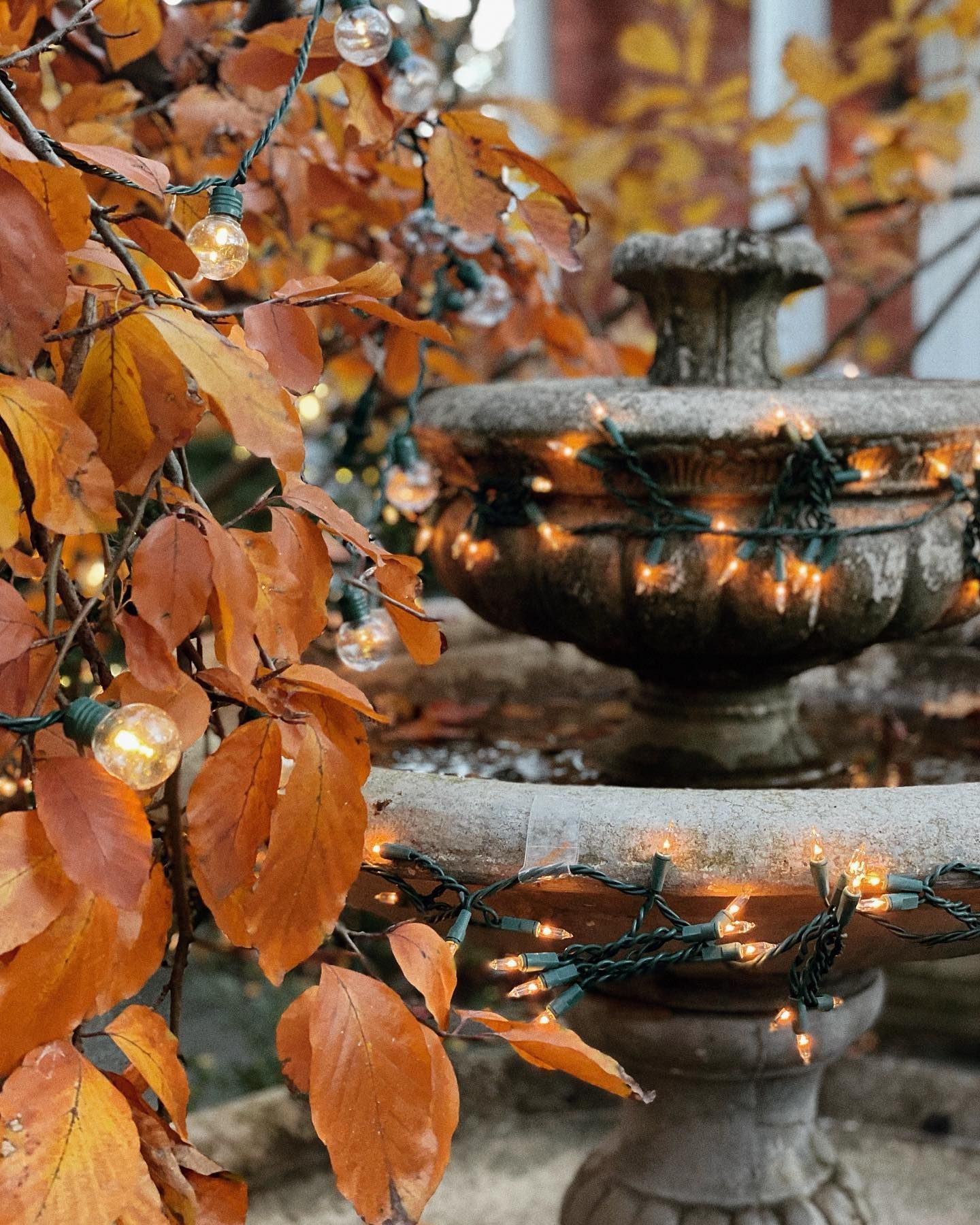 Autumn leaves frame a stone fountain adorned with twinkling lights.