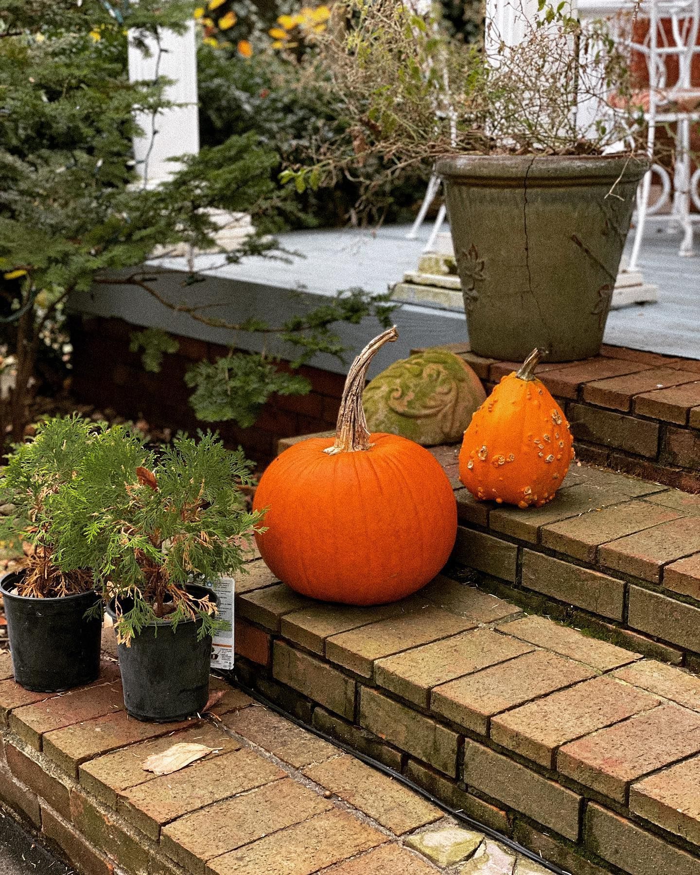 Orange pumpkins and potted plants on brick steps.