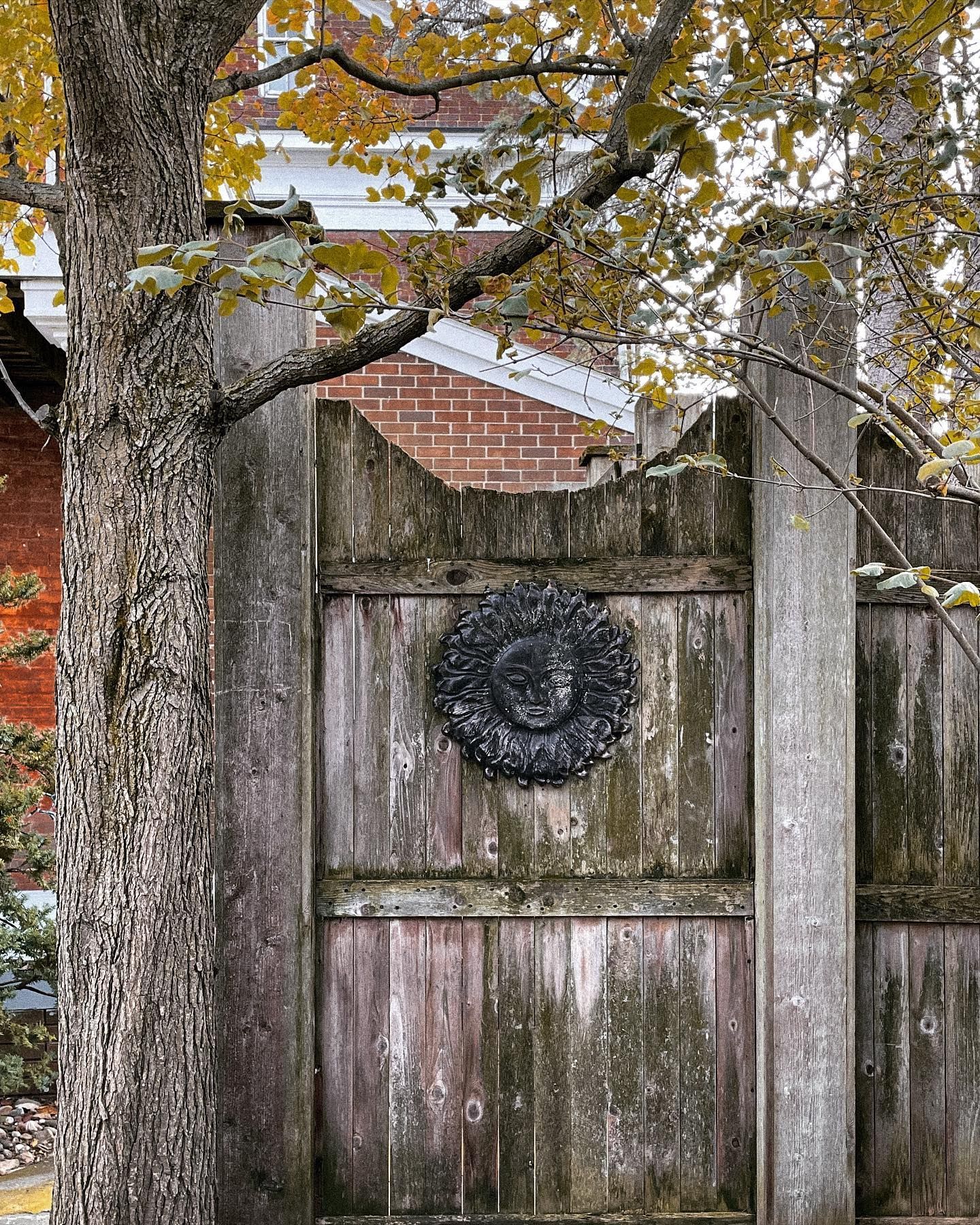 Weathered wooden fence with a black, decorative wreath; tree with yellow leaves in the foreground.