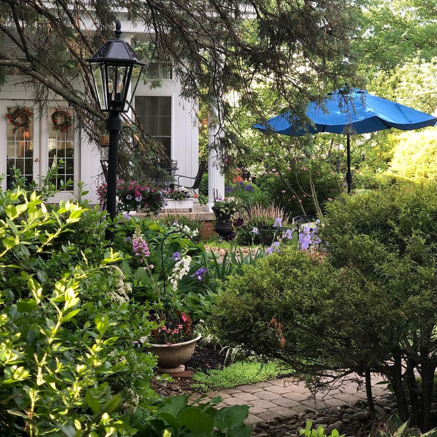 A lush garden with a white house, blue umbrella, and a black lamp post.