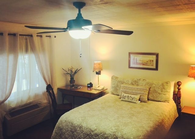 Bedroom with a bed, desk, window with curtains, ceiling fan, and lamp.