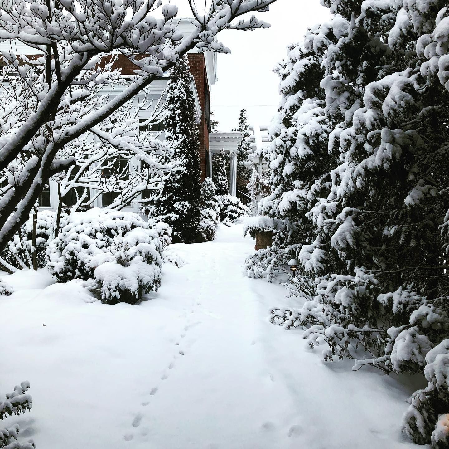 Snow-covered path leads through a winter garden with evergreen trees and a brick building in the background.