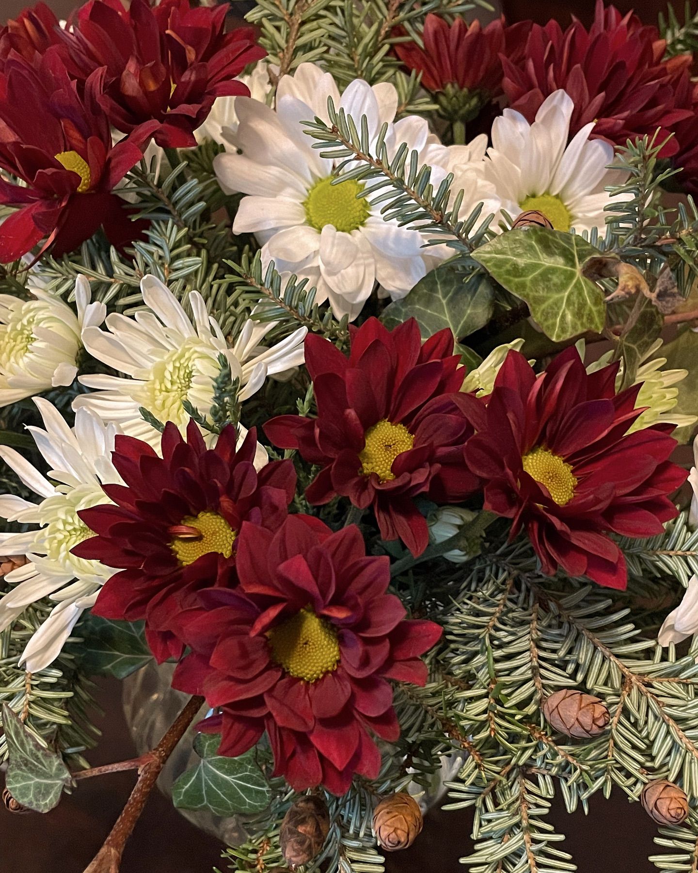 Close-up of a flower arrangement with burgundy chrysanthemums, white daisies, and evergreen sprigs.