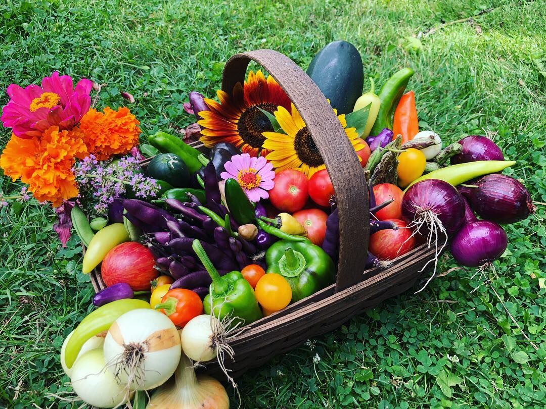Basket overflowing with colorful vegetables and flowers on green grass.