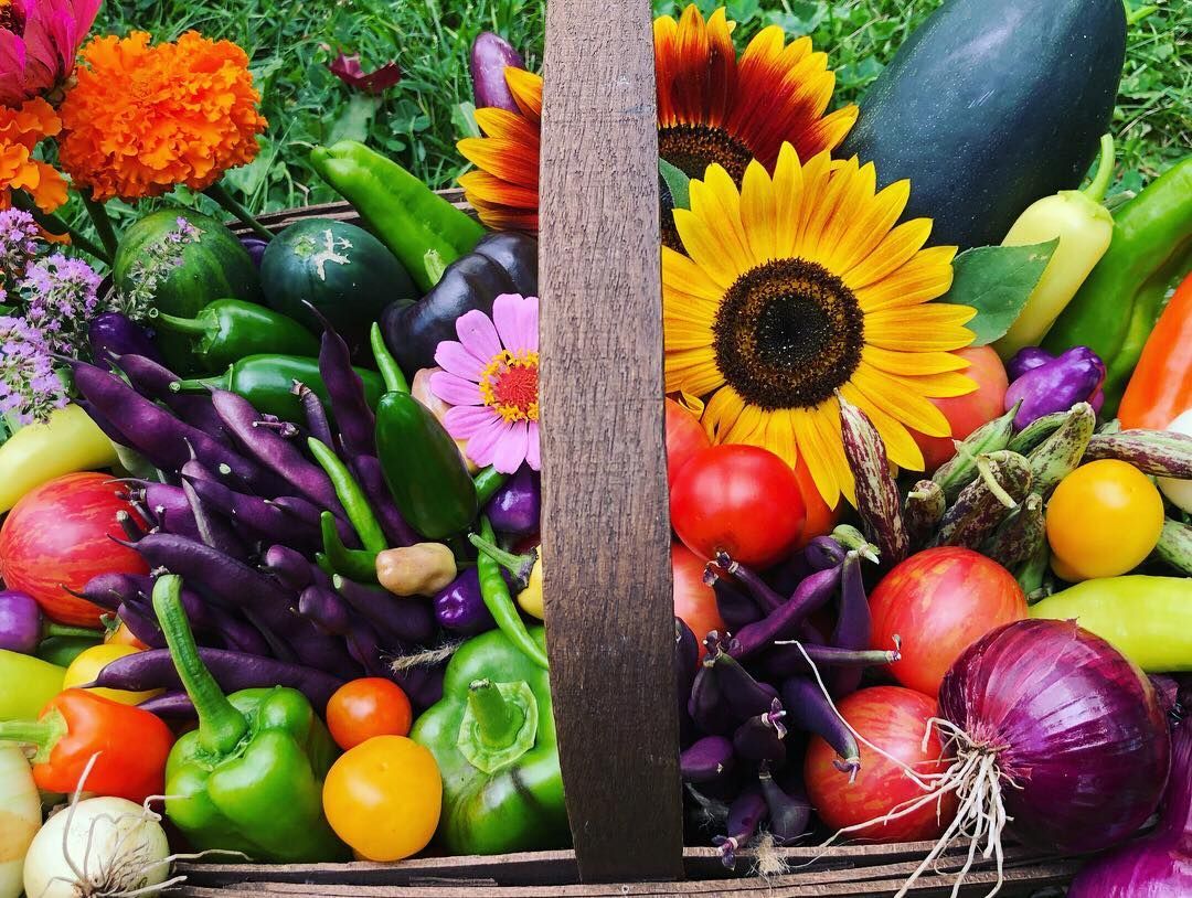 Basket filled with colorful vegetables and flowers, including sunflowers, peppers, and tomatoes.