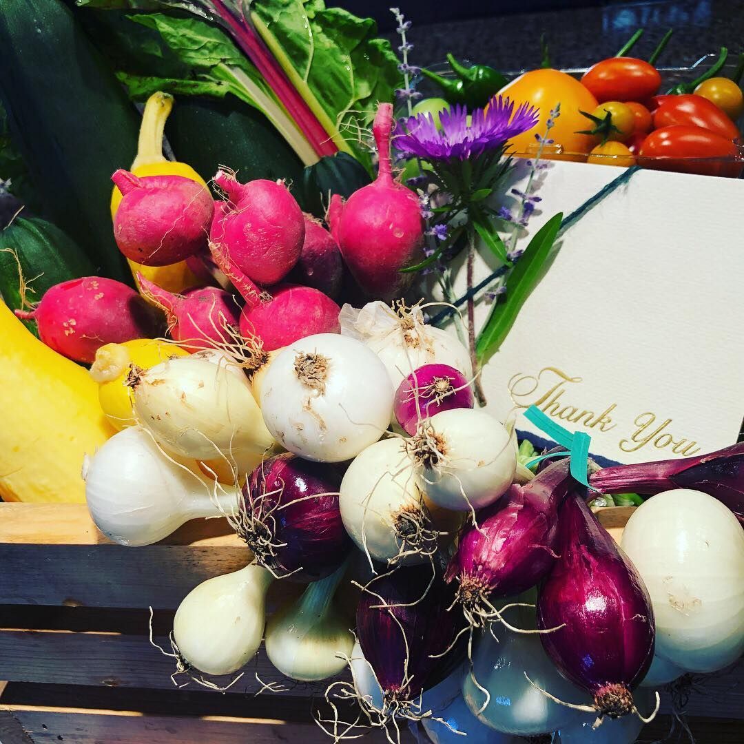 Colorful assortment of fresh produce, including onions, radishes, squash, and tomatoes, with a