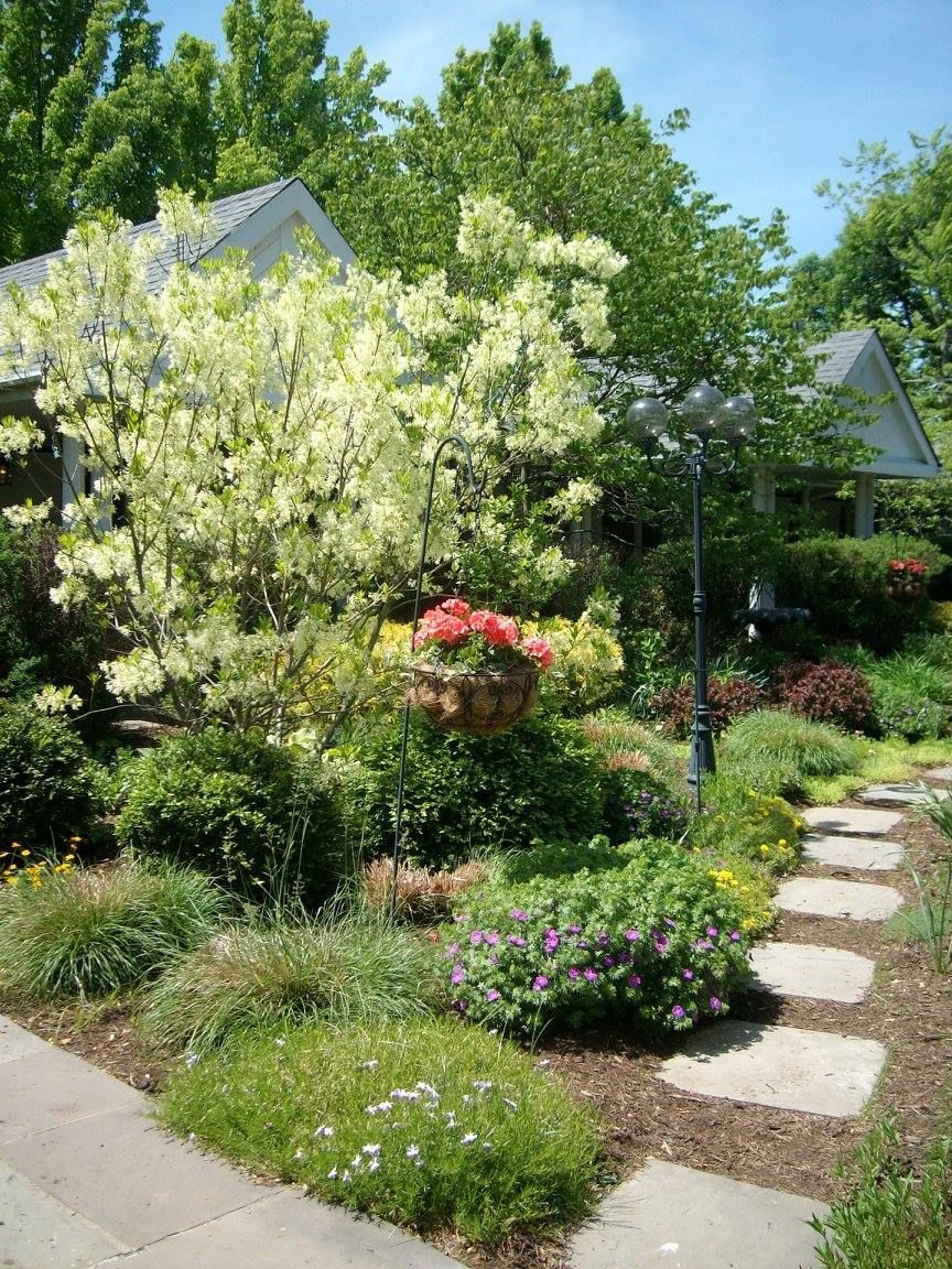 Stone path leads through a lush garden with flowering plants and trees in front of a white house.