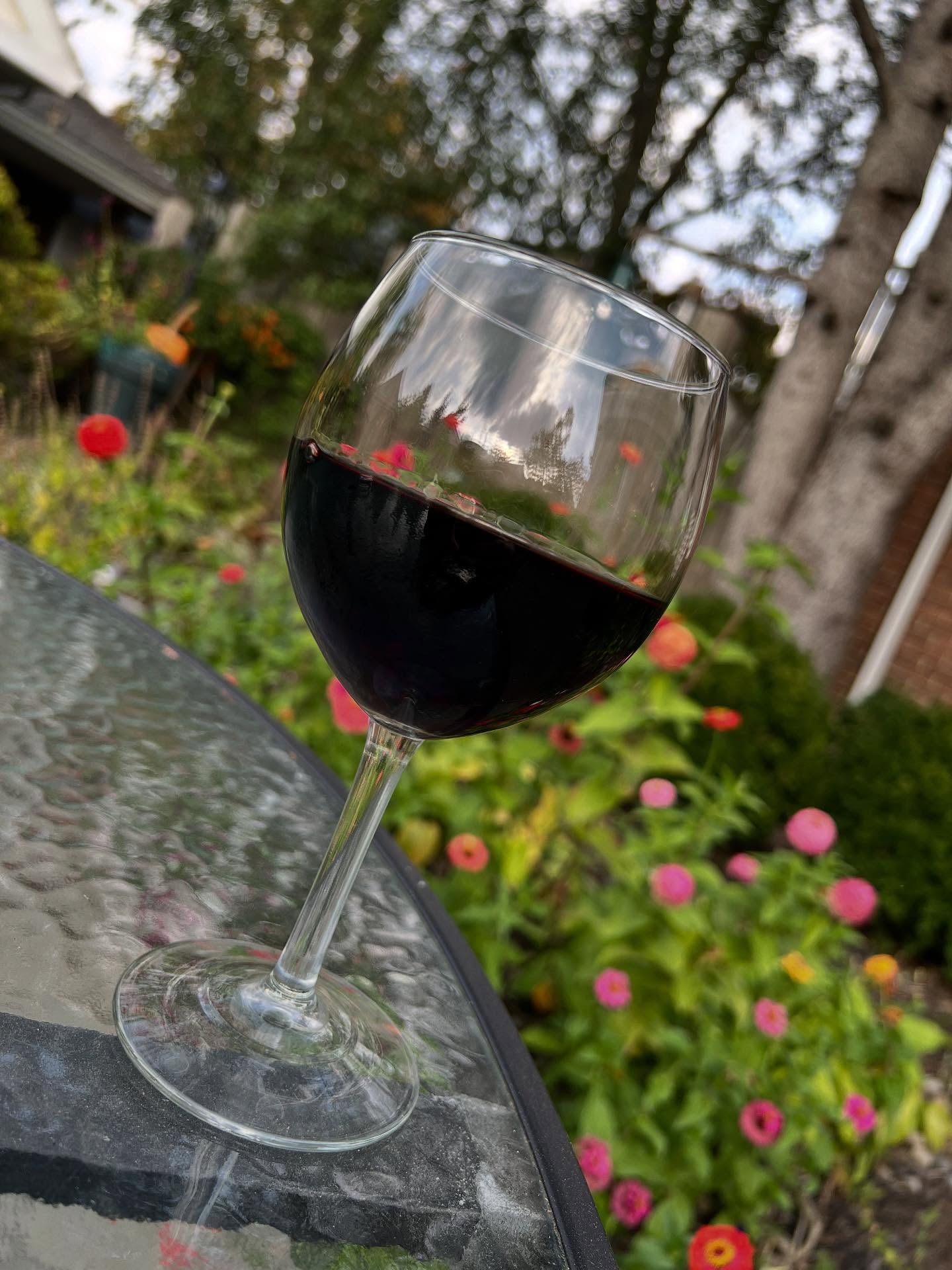 A glass of red wine on a table with a garden background.