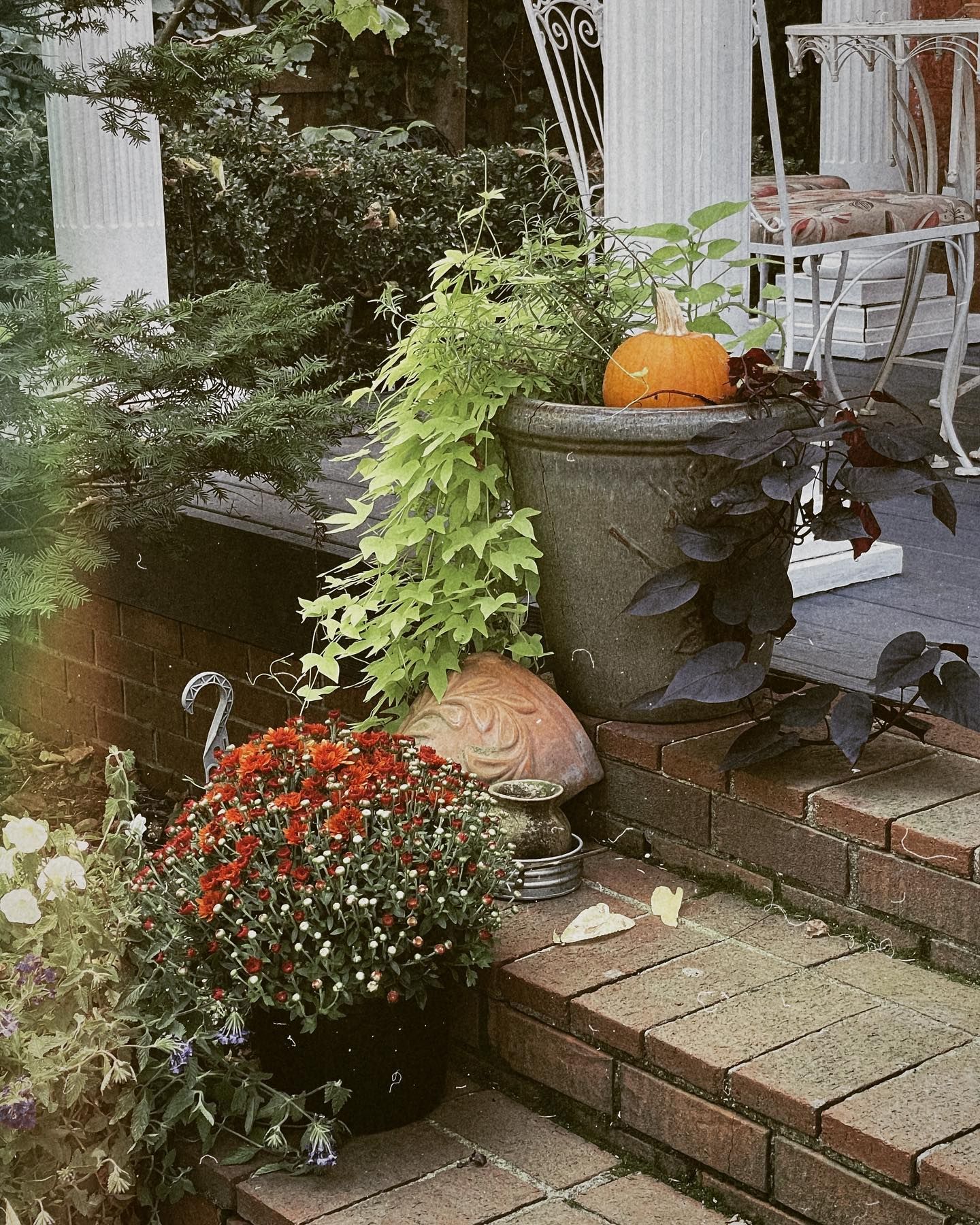 Potted mums, ivy, pumpkin, and plants on brick steps near a white porch.