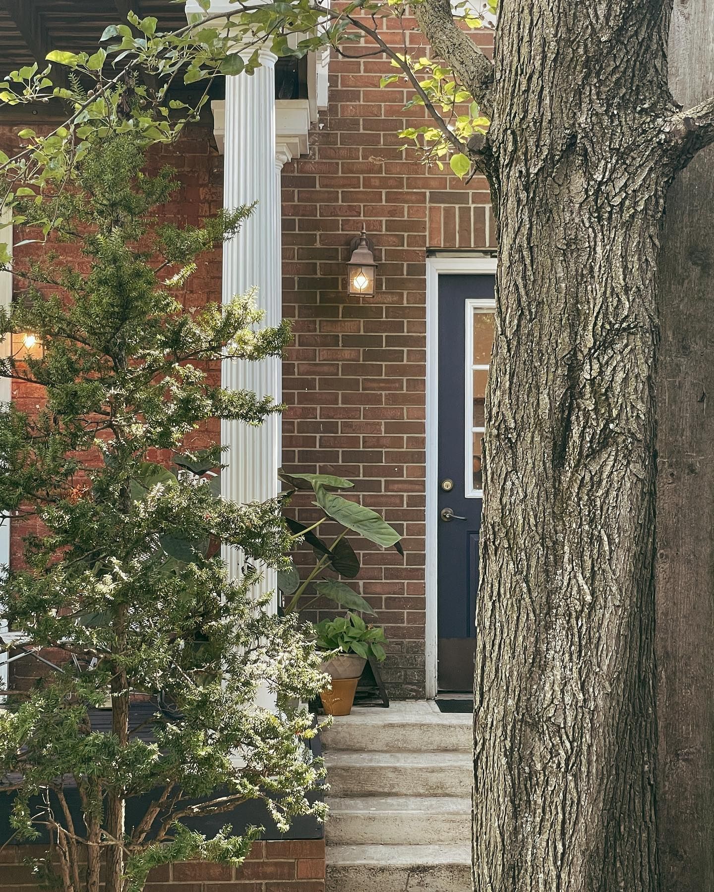 Brick home entrance with dark blue door, steps, column, and tree.