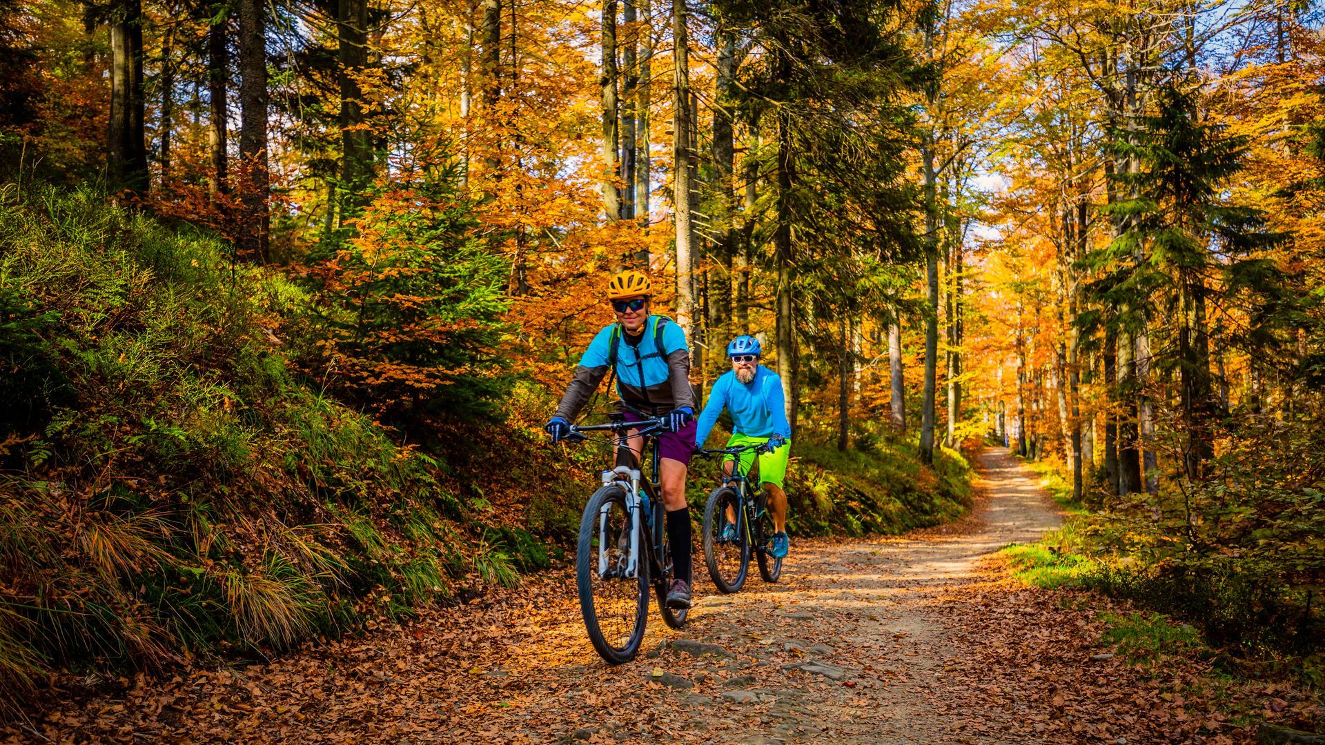 Two cyclists ride bikes on a trail through an autumn forest with colorful foliage.