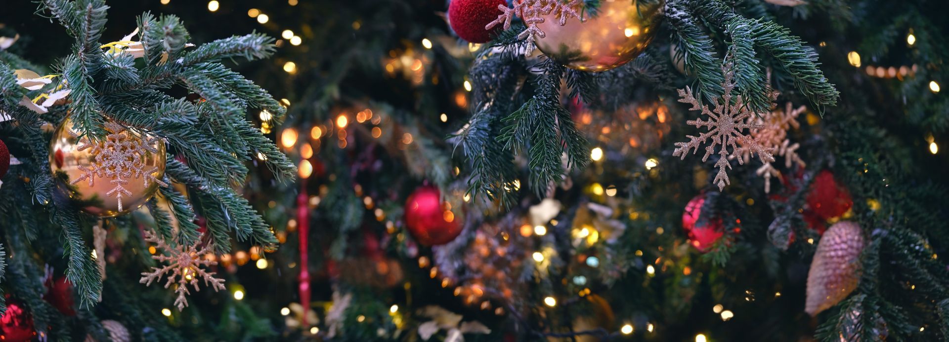 Christmas tree decorated with ornaments and lights.