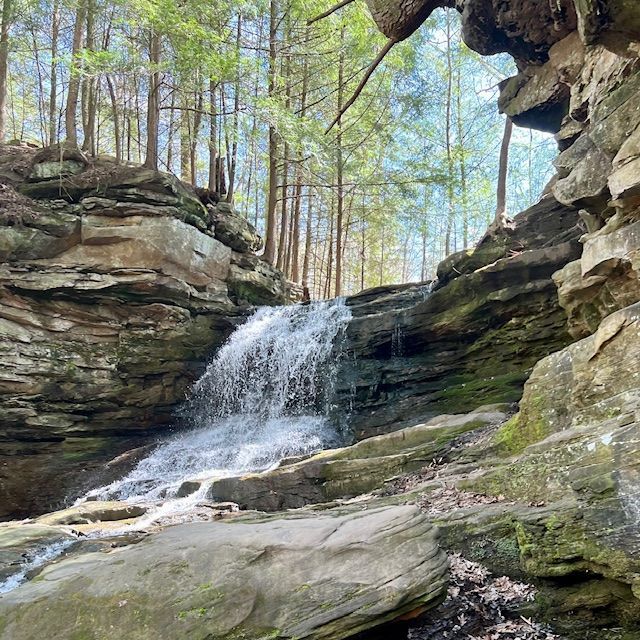 Waterfall cascading down layered rock formations, surrounded by trees.