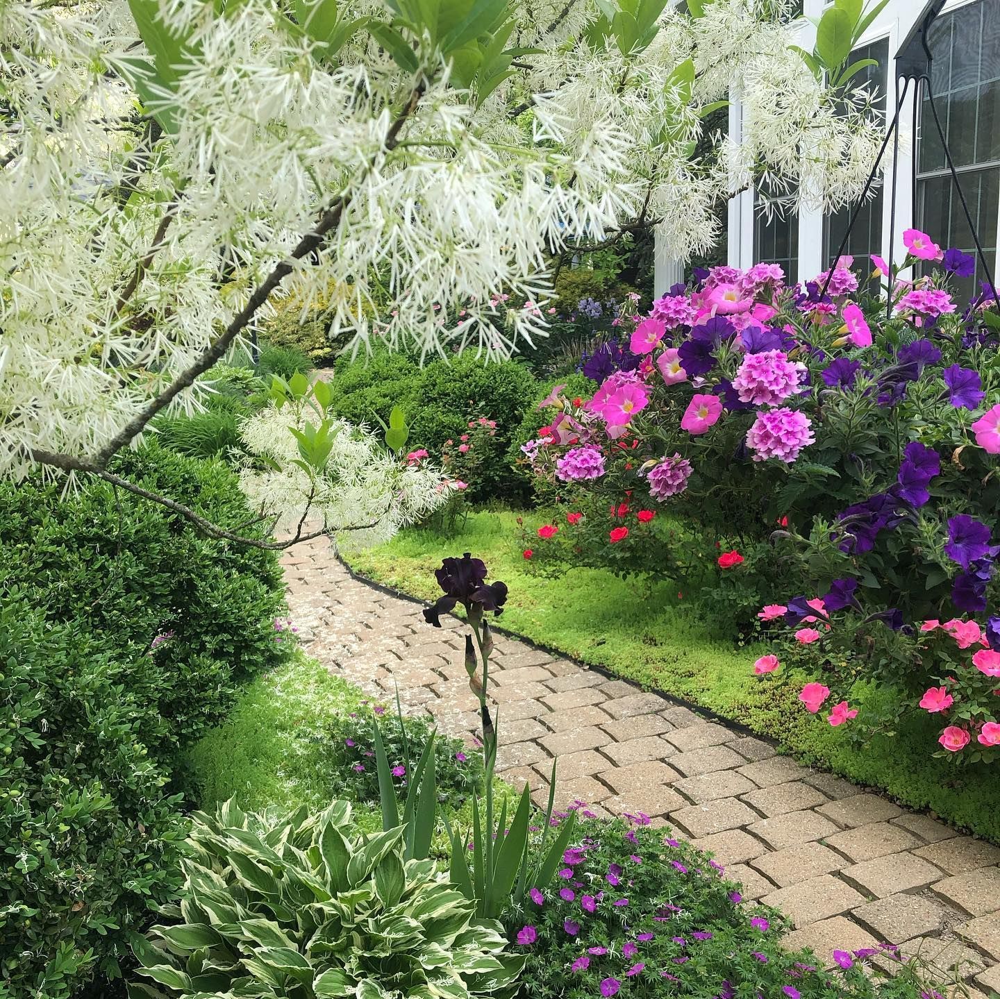 Brick path winds through a colorful garden of blooming flowers and green shrubs, next to a white building.
