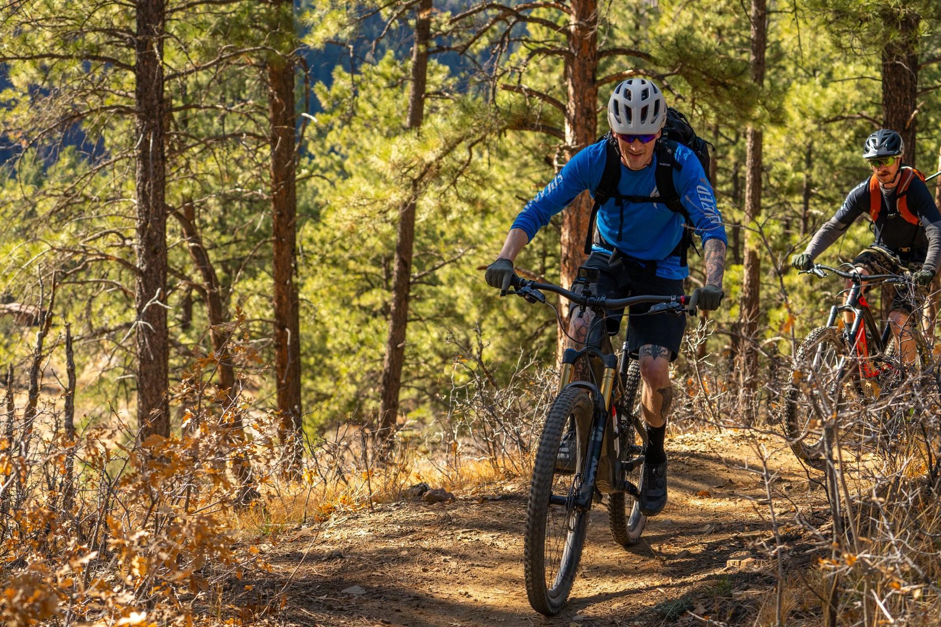 Two mountain bikers ride along a sunlit, tree-lined dirt trail in a forest.
