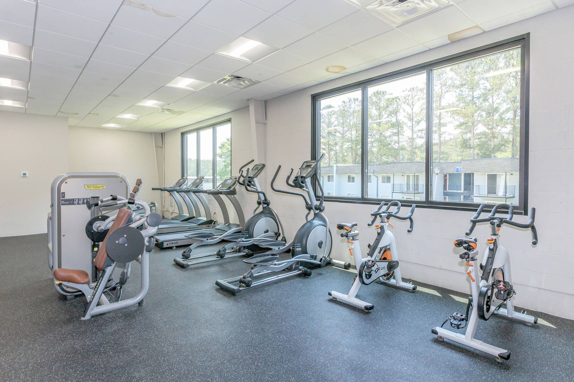 A gym with a lot of exercise equipment and a lot of windows.