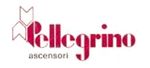 PELLEGRINO ASCENSORI-LOGO