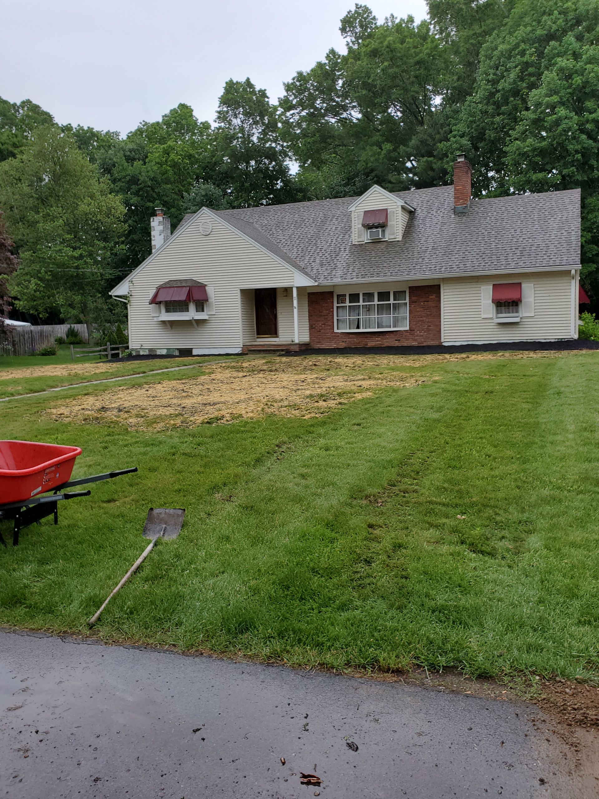 Lawn Care and Shrub Trimming — Orange County, NY — MD Preservation