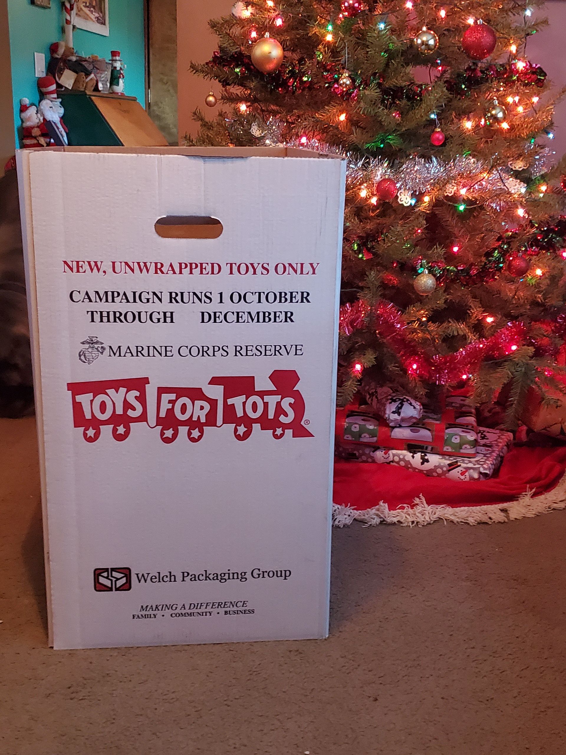 Box in Front of Christmas Tree — Orange County, NY — MD Preservation