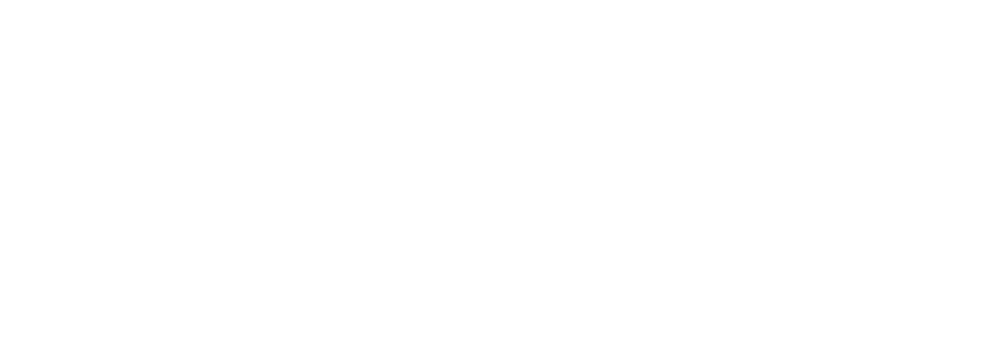 ShallBe Global Security logo