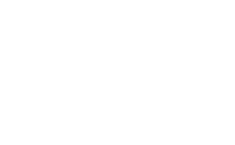 ShallBe Global Security Footer Logo