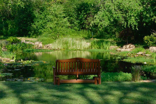 A wooden bench is sitting in front of a pond in a park.
