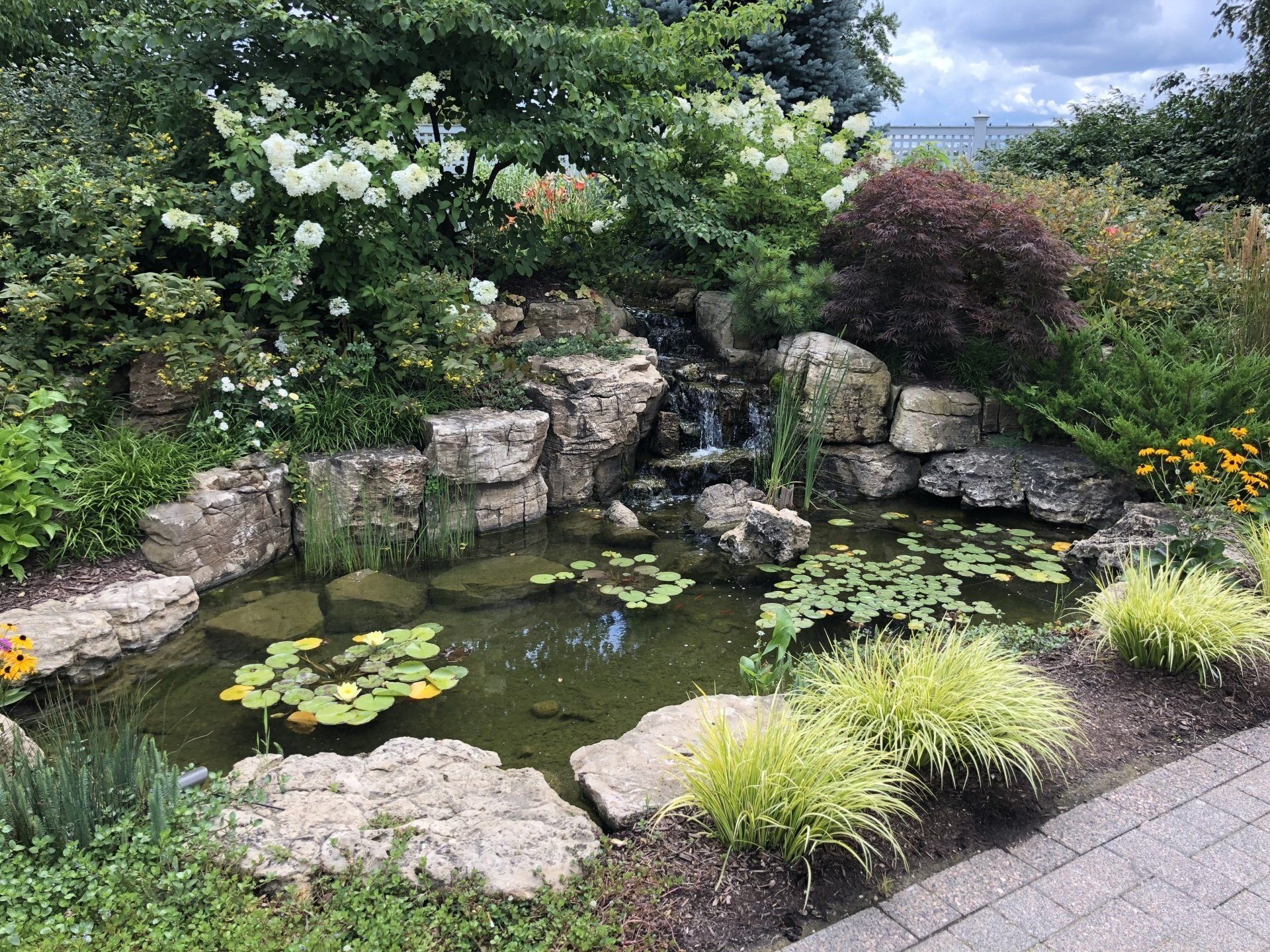 A pond with water lilies and a waterfall in the middle of a garden.