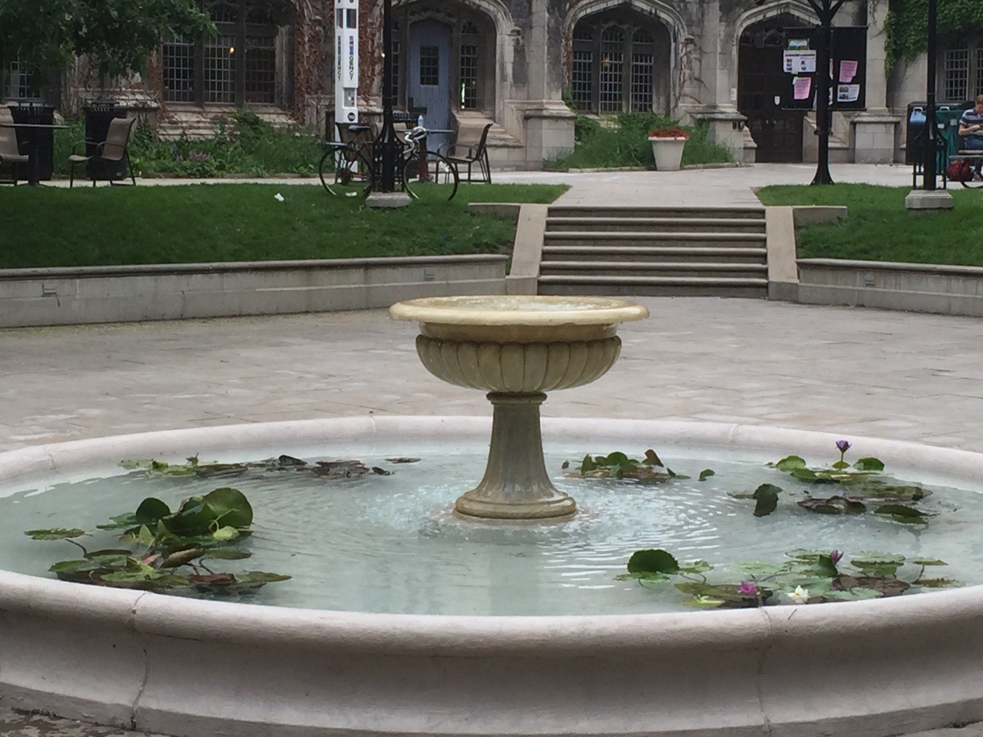 A fountain with water lilies in it in front of a building
