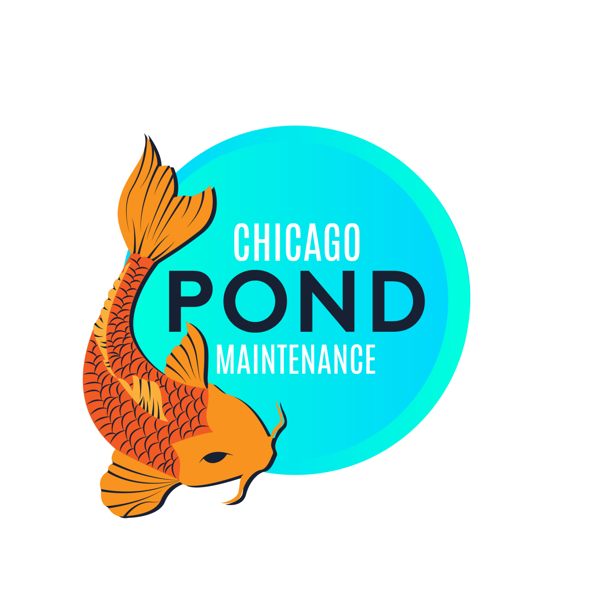 winter-pond-maintenance-in-nutshell