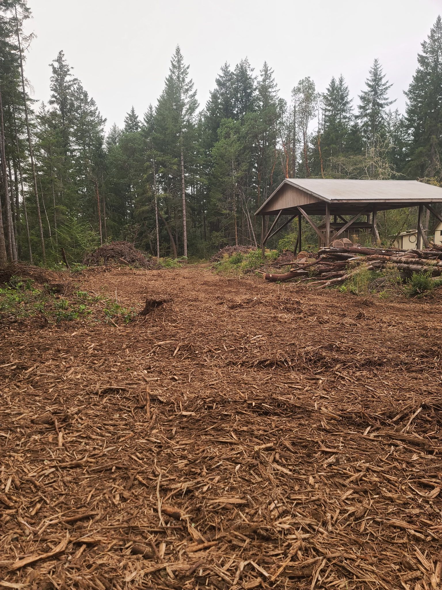 A cleared area covered in wood chips, with a wooden shelter in the background and forest beyond.