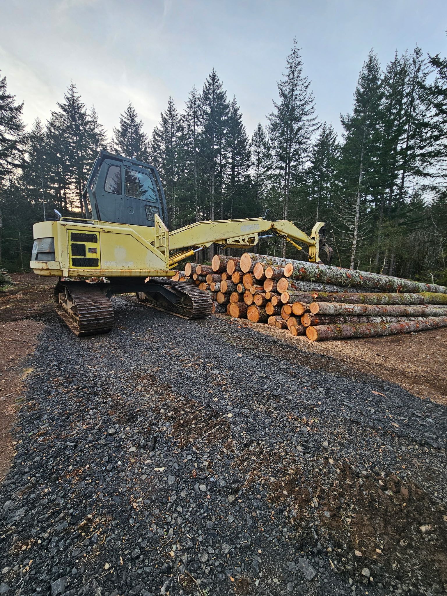 Yellow logging machine beside a pile of logs, in a forest setting.