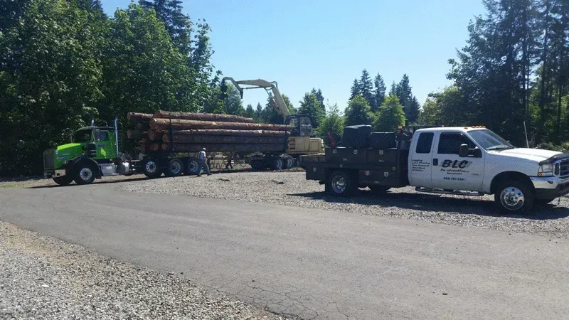 Green logging truck with trailer, loading logs with a crane, parked beside a white work truck.