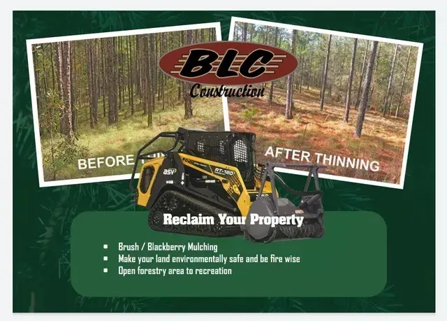 Forest thinning service advertisement showing before/after photos and a skid steer.