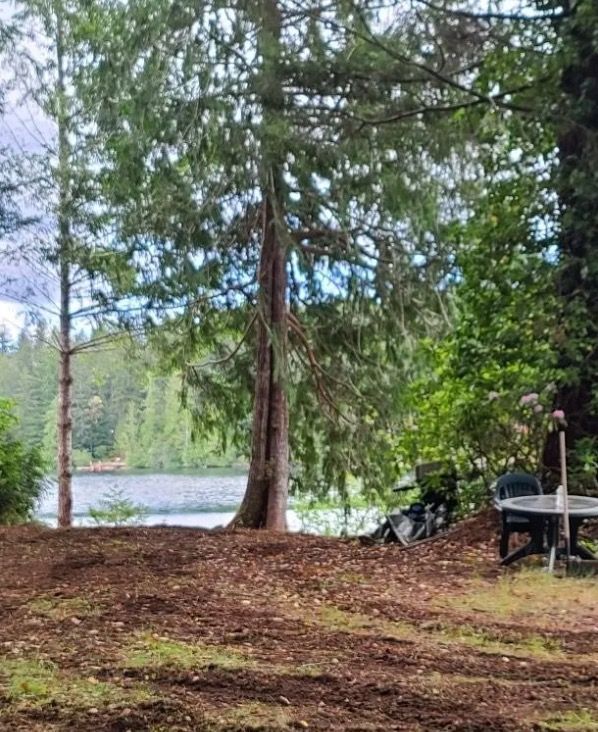 Lakeside view with tall trees and a picnic table on the right. The foreground is dirt.
